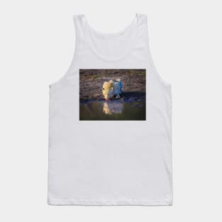 Leopard (Panthera pardus) drinking Tank Top